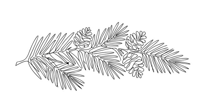 Pine cone and needle winter border