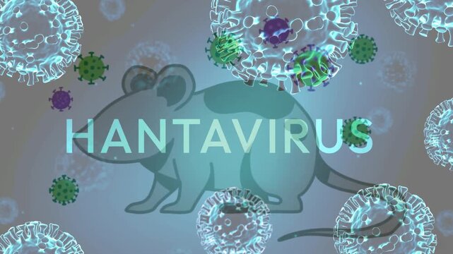 Hantavirus typography with floating virus cells and a stylized rodent graphic background.