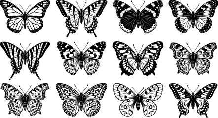 Collection of black butterfly silhouettes and detailed stencil line icons in various wing patterns isolated on white background vector illustration © MdMehedi