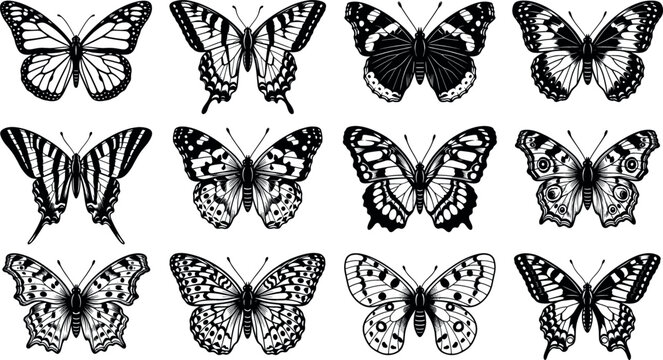 Collection of black butterfly silhouettes and detailed stencil line icons in various wing patterns isolated on white background vector illustration