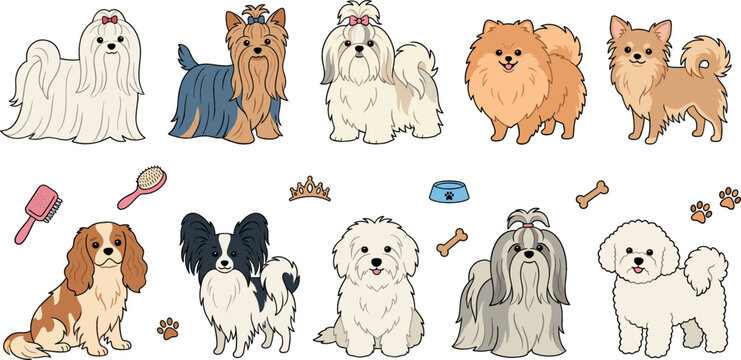 Cute small dog breeds collection featuring maltese yorkshire terrier shih tzu pomeranian chihuahua king charles spaniel papillon and bichon frise isolated vector illustration