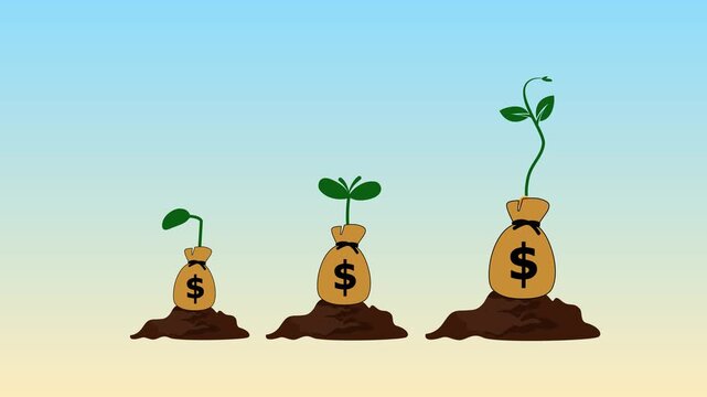 Three-stage money growth with sprouting plants animation