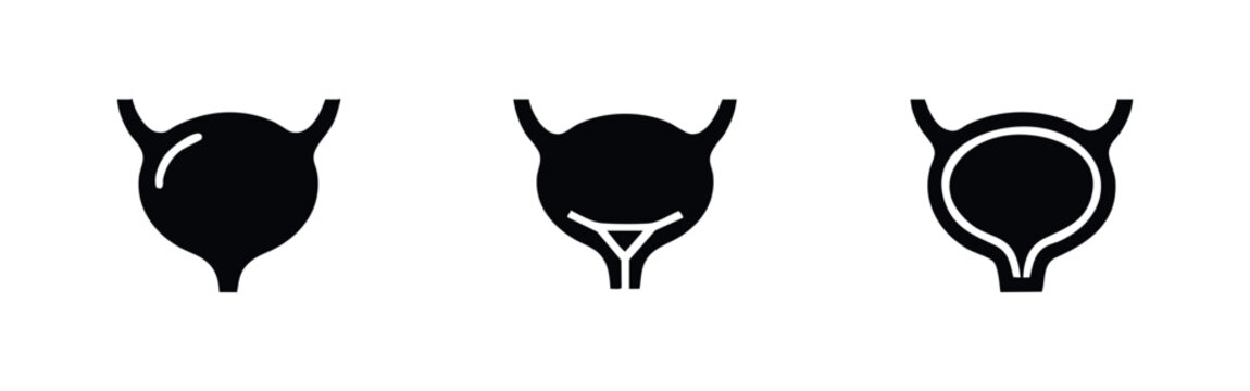 Human Urinary Bladder Anatomy Icons