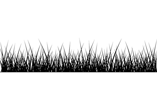 black silhouette of grass on a white background simple nature design element