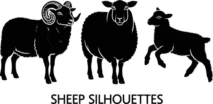 Generate a realistic kinds of deferent Sheep vector art silhouette with white background.