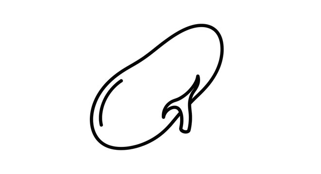 Minimalist hand drawn cursive lowercase g.