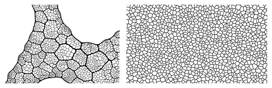 Voronoi cellular pattern structures resembling cracked earth in black line art style