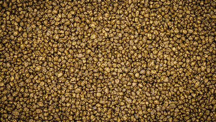 Fototapeta premium Gold nuggets on surface showing texture and color detail in underground mining area with sunlight