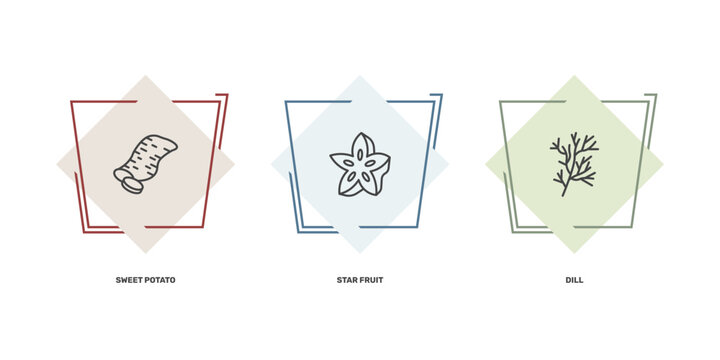 vegetables and fruits icon set with sweet potato, star fruit, dill signs in flat outline style