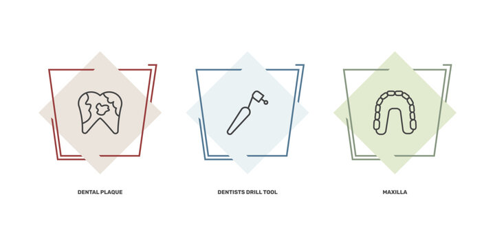 dental health icon set with dental plaque, dentists drill tool, maxilla signs in flat outline style