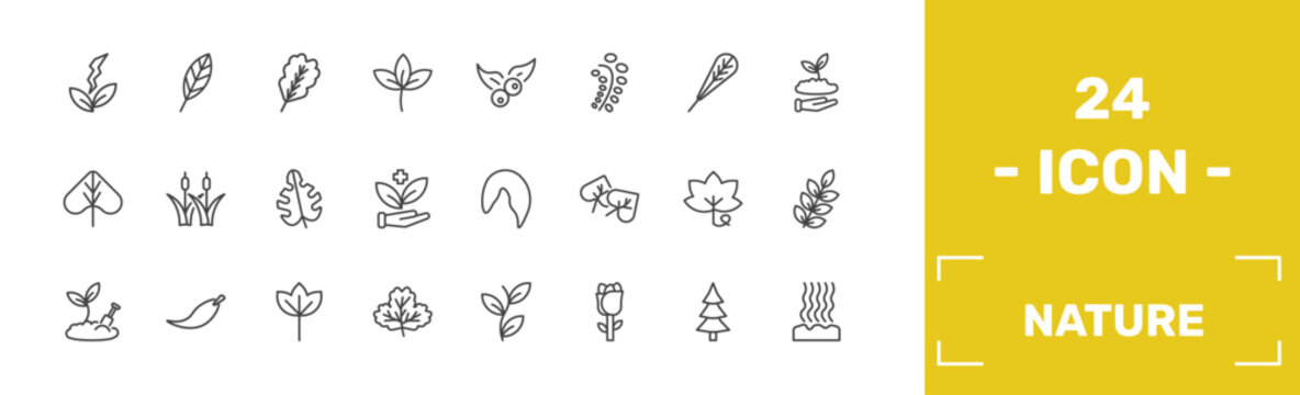 nature icon set with natural energy, lanceolate, oak leaf, fasciculate signs in flat outline style