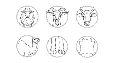 Fototapeta premium Minimalist livestock line icons set, farm animal head illustrations including sheep ram cow and camel, leather and wool production symbols in vector format