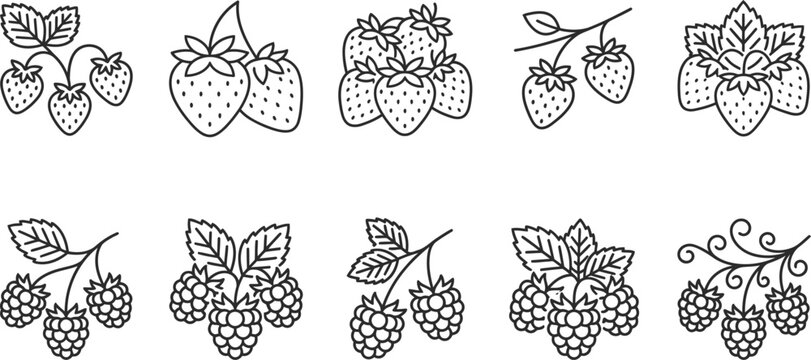 Outline icons of strawberries and raspberries on branches set on transparent background.