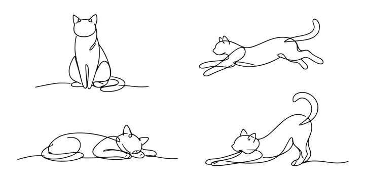 One continues line of cat 