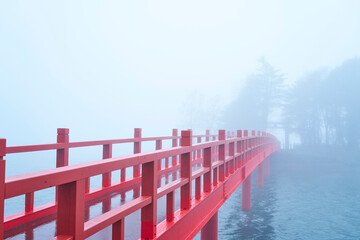 Obraz premium Goodbye, distinct world. Let us build this bridge for the unseen tomorrow waiting beyond the mist.