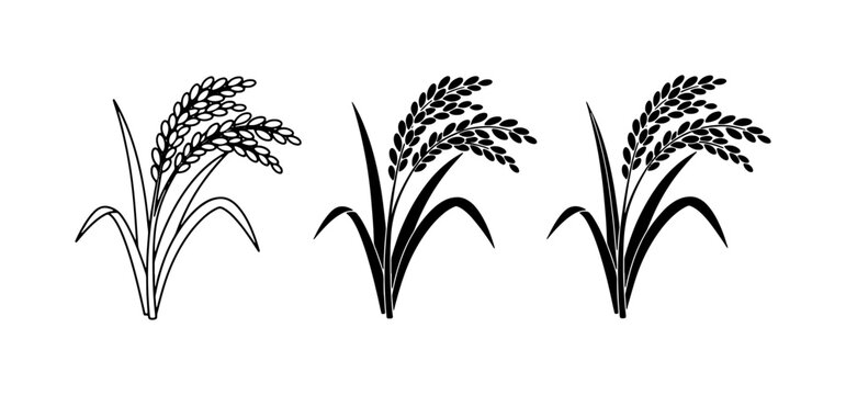 Rice Plant Icons, Grain Harvest Symbols, Agricultural Crop Vector Graphics