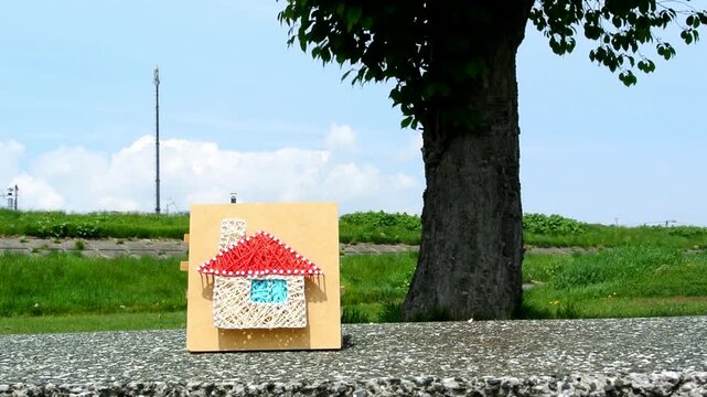 家と木