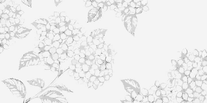 Hydrangea floral ornament delicate gray line drawings on a white background