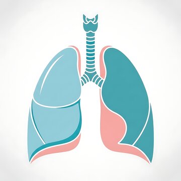 Colorful abstract illustration of lungs with ribcage and trachea.