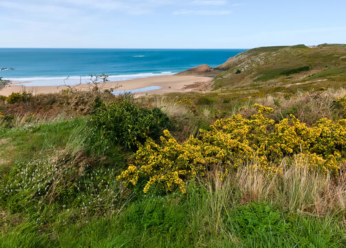 Scenic view of the rocky and flowery coast towards Cap Morgat in Brittany, France