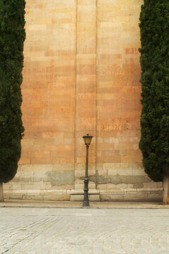 Streetlight with cypress trees on either side. Student graffiti symbols called Vitors can be seen on the stone wall. Salamanca, Spain