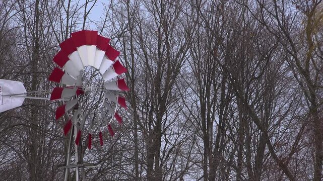 A close-up of a traditional galvanized steel farm windmill featuring distinctive red and white tipped blades, set against a dense background of bare, grey winter forest trees.
