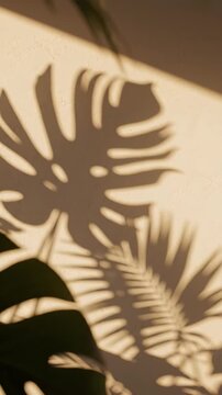 Shadows of tropical leaves cast intricate patterns on a sandy surface, creating a warm and relaxing outdoor scene filled with natural beauty