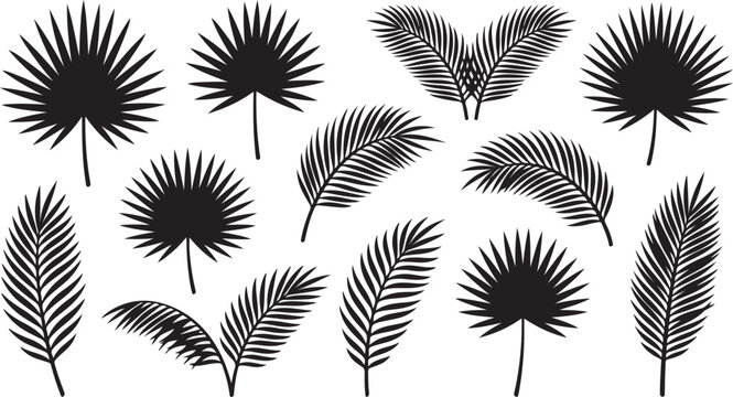 Black silhouette palm leaves set isolated on white