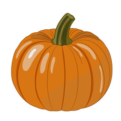 Obraz premium Hand drawn pumpkin vector illustration