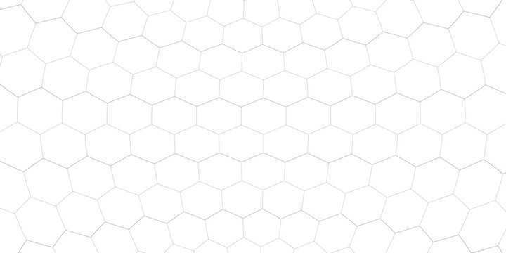 Fishing or soccer net. Repeated hexagon pattern. Black wired mesh texture isolated on white background. Metallic or fabric fence, cage or lattice structure. Vector graphic Illustration.