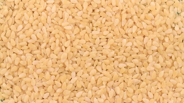 Rotating video close-up of Seme di Melone pasta with tiny melon seed shapes and smooth texture, showcasing golden wheat color and authentic Italian cuisine in continuous motion.