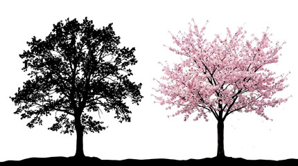 Obraz premium Trees With Blossoms Silhouette And Color Variation On White Background