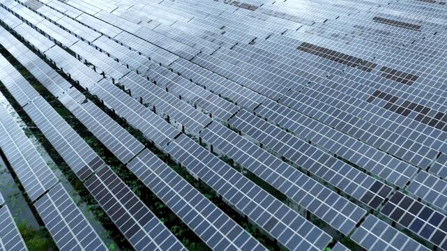 Fishery-Photovoltaic Complementary Solar Panel Array on Water Surface