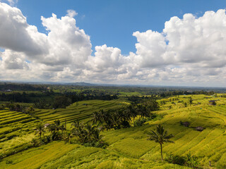 Obraz premium Aerial View of Jatiluwih Rice Terraces under Blue Sky in Bali