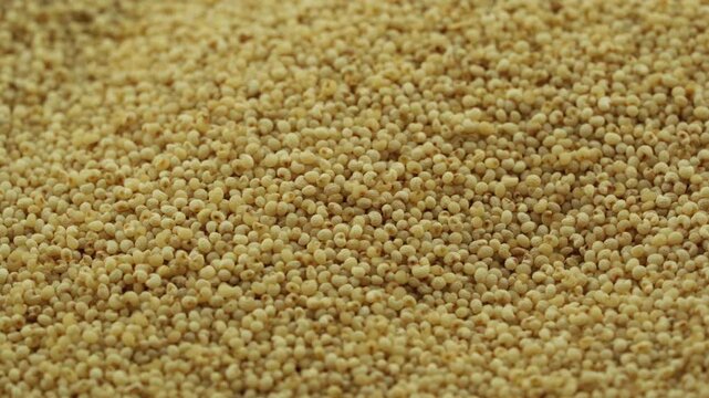 closeup macro shot of white poppy seeds, known as khus khus. This organic ingredient shows detailed texture backgrounds rotation turntable video footage