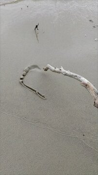 dead sea beach