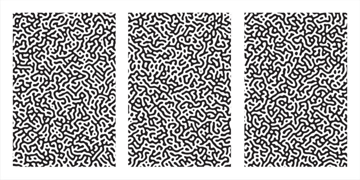 Generative algorithm turing pattern set containing three matching panels of black and white reaction diffusion digital code textures, vector design
