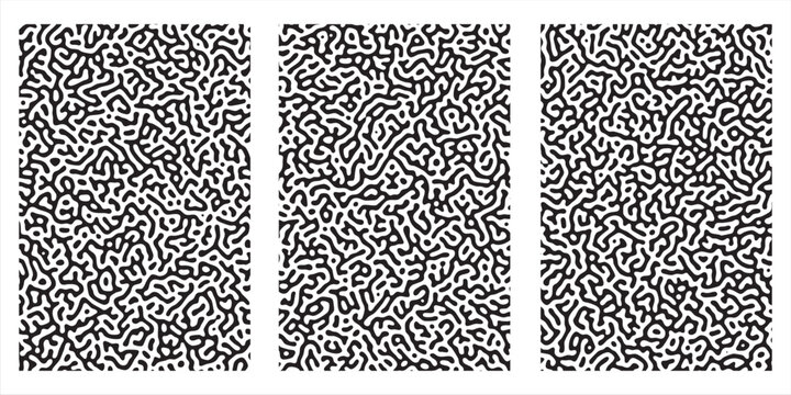 Scientific microbiology gallery presentation bundle featuring organic turing pattern cell structures in three distinct vertical layouts, vector art