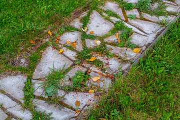 Fototapeta premium Overgrown stone garden path with stone tiles surrounded by grass. Old paving walkway with weeds and fallen leaves. Landscaping detail for backyard exterior design and park maintenance