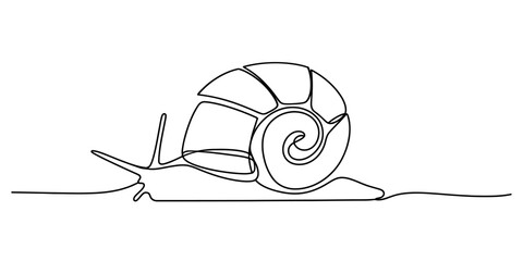 Continuous single line drawing of a cute garden snail © Sojib