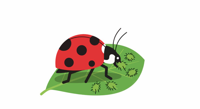 A cartoon ladybug is eating green aphids on a green leaf