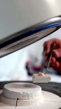 Technician Carefully Setting Ceramic. Lab Technician Carefully Positions Ceramic Crown In Furnace