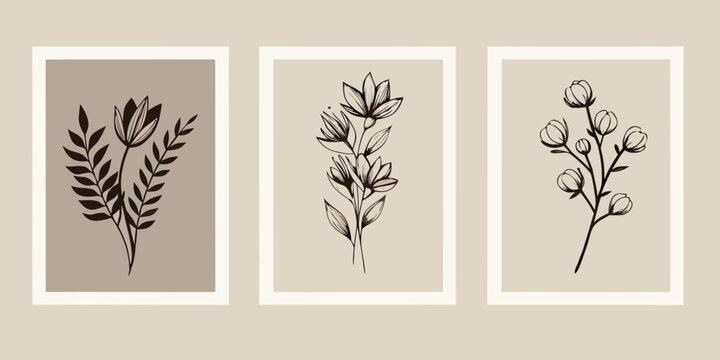 Botanical Line Art Prints With Neutral Tones And Rectangular Frames