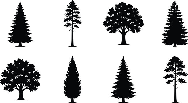 WebCollection of Black Tree Silhouettes with Evergreen and Deciduous Trees Isolated for Nature and Landscape Design