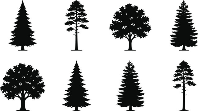 WebSet of Black Tree Silhouettes with Pine Fir and Deciduous Trees Isolated for Nature and Forest Design
