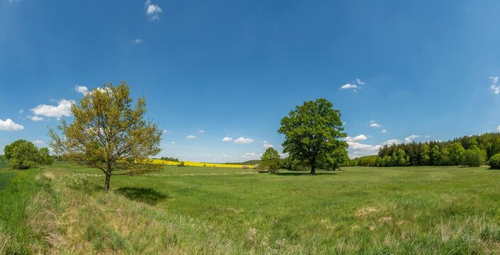 Paysage verte gazon verte sky