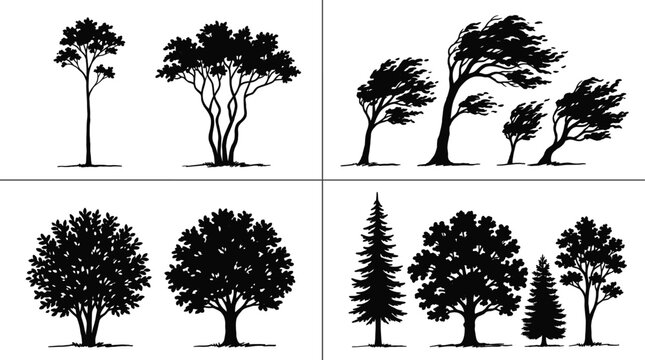 WebTree silhouette collection with windswept canopies, sparse young trees, rounded crowns, coniferous evergreens, and diverse artistic designs
