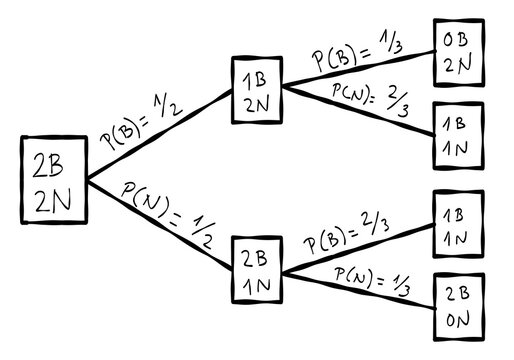 Probability Tree Diagram with Conditional Events and Sequential Outcomes