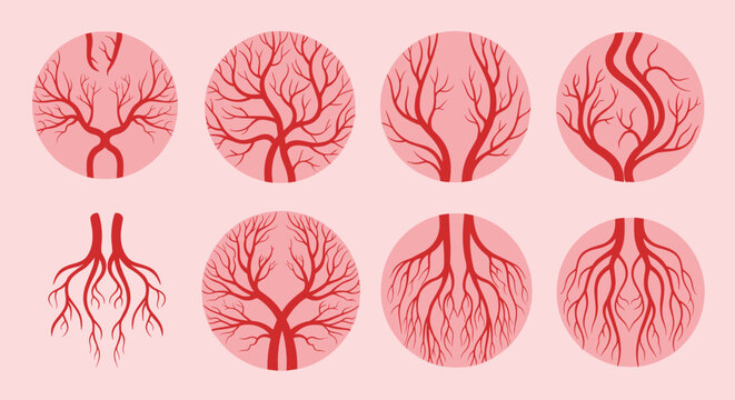 Series of circular diagrams illustrating branching vascular systems or intricate tree root patterns on a light pink background.
