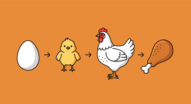 Humorously simple lifecycle showing the progression from a white egg to a chick, a hen, and finally a cooked chicken drumstick.